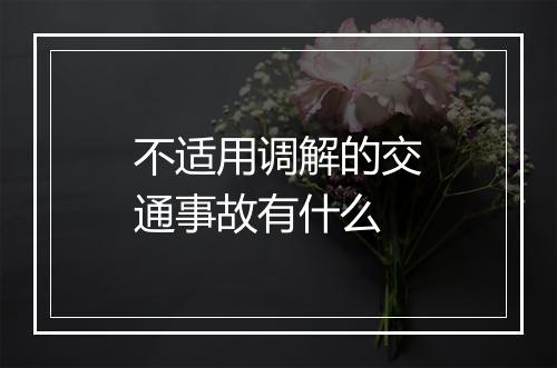 不适用调解的交通事故有什么
