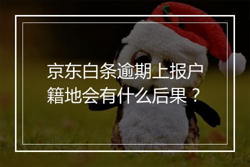 京东白条逾期上报户籍地会有什么后果？