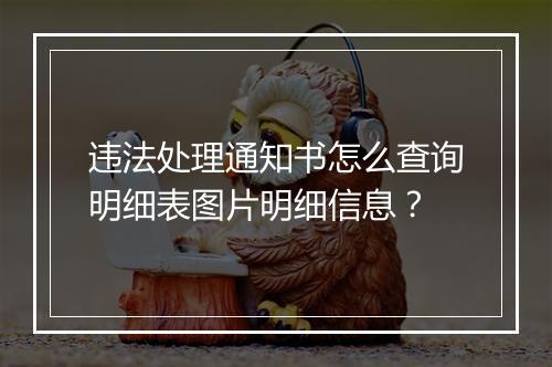 违法处理通知书怎么查询明细表图片明细信息？
