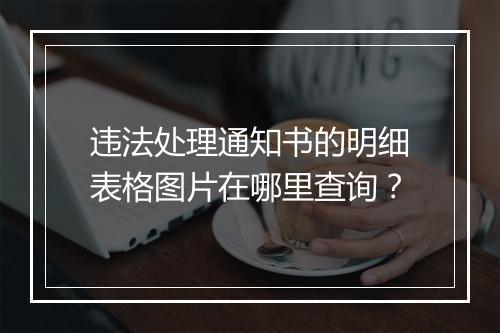 违法处理通知书的明细表格图片在哪里查询？