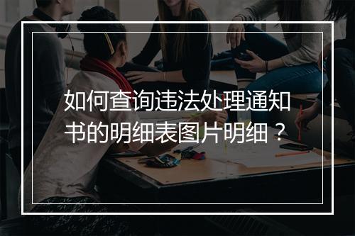 如何查询违法处理通知书的明细表图片明细？