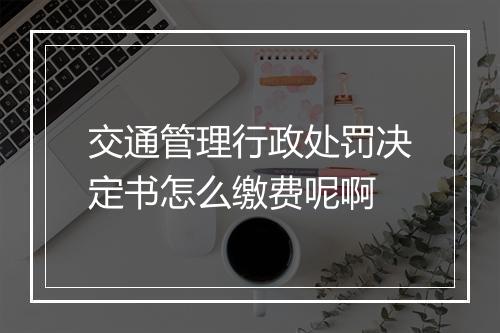 交通管理行政处罚决定书怎么缴费呢啊