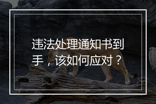违法处理通知书到手，该如何应对？