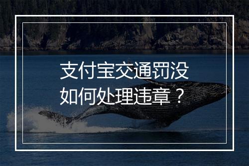支付宝交通罚没如何处理违章？