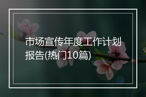市场宣传年度工作计划报告(热门10篇)