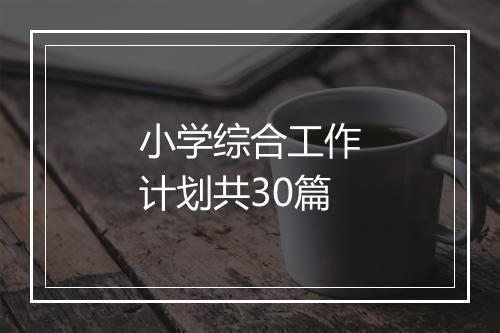 小学综合工作计划共30篇