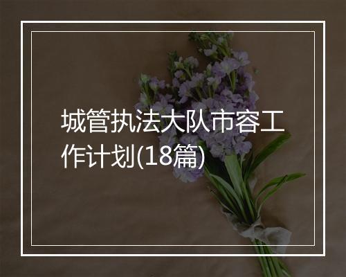 城管执法大队市容工作计划(18篇)