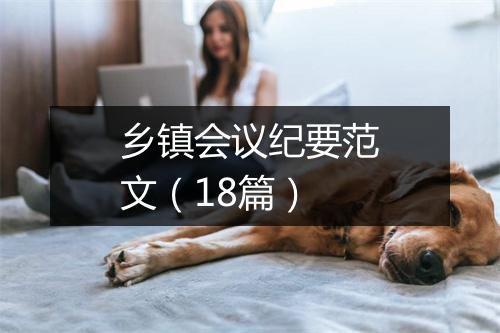 乡镇会议纪要范文（18篇）