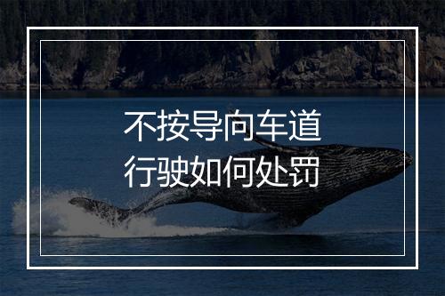 不按导向车道行驶如何处罚