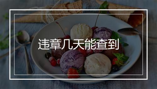 违章几天能查到