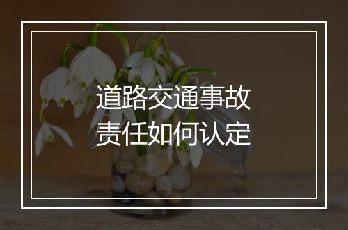 道路交通事故责任如何认定