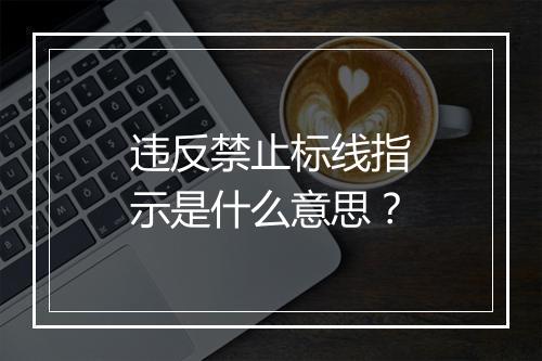 违反禁止标线指示是什么意思？