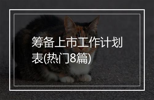 筹备上市工作计划表(热门8篇)