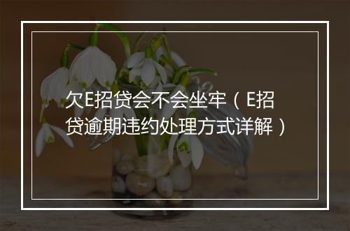 欠E招贷会不会坐牢（E招贷逾期违约处理方式详解）