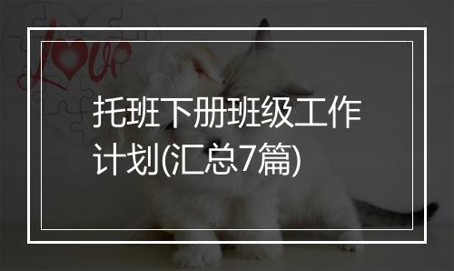 托班下册班级工作计划(汇总7篇)