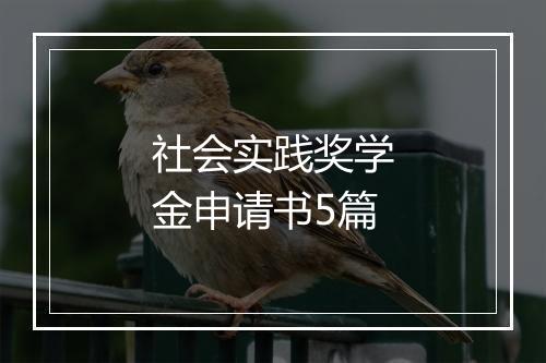 社会实践奖学金申请书5篇