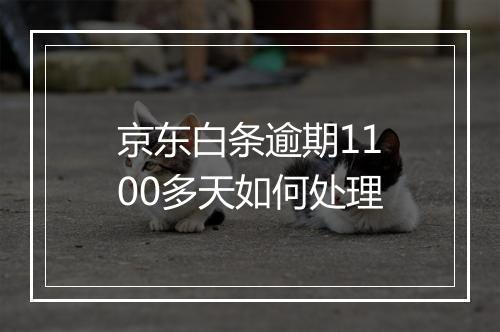 京东白条逾期1100多天如何处理