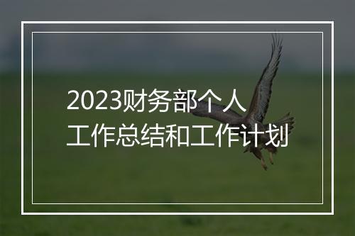 2023财务部个人工作总结和工作计划