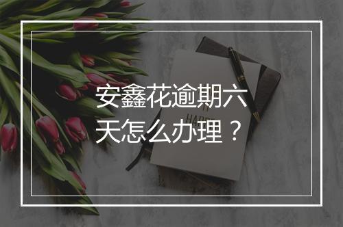 安鑫花逾期六天怎么办理？