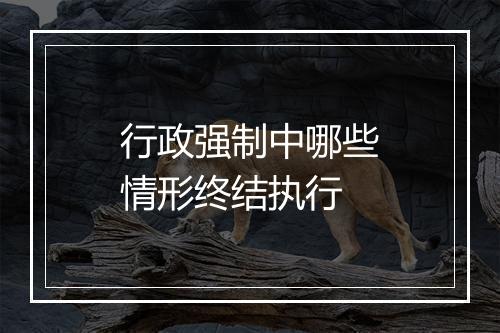 行政强制中哪些情形终结执行