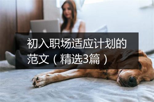 初入职场适应计划的范文（精选3篇）