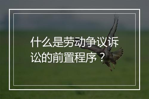 什么是劳动争议诉讼的前置程序？