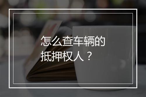 怎么查车辆的抵押权人？