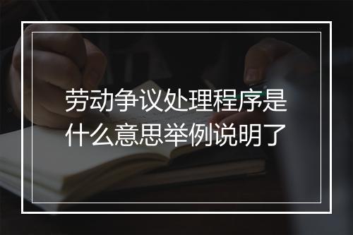 劳动争议处理程序是什么意思举例说明了