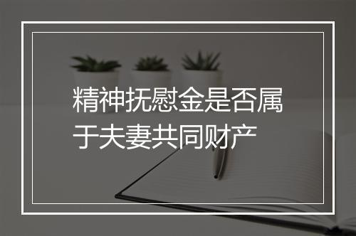 精神抚慰金是否属于夫妻共同财产
