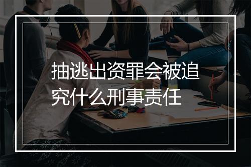 抽逃出资罪会被追究什么刑事责任