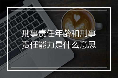 刑事责任年龄和刑事责任能力是什么意思