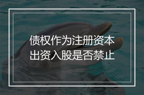 债权作为注册资本出资入股是否禁止