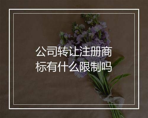 公司转让注册商标有什么限制吗