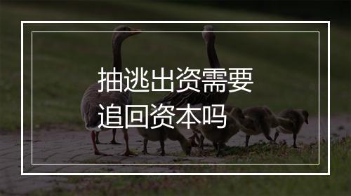 抽逃出资需要追回资本吗