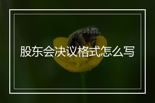 股东会决议格式怎么写