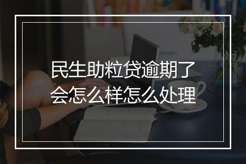 民生助粒贷逾期了会怎么样怎么处理