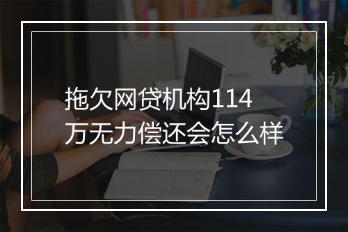 拖欠网贷机构114万无力偿还会怎么样
