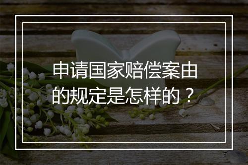 申请国家赔偿案由的规定是怎样的？