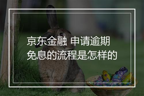 京东金融 申请逾期免息的流程是怎样的