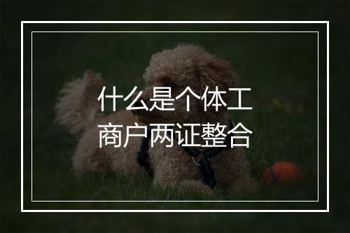 什么是个体工商户两证整合