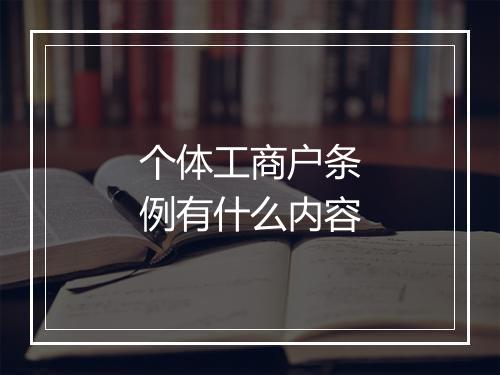 个体工商户条例有什么内容