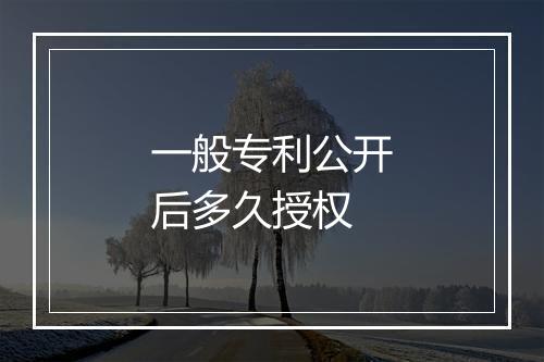 一般专利公开后多久授权