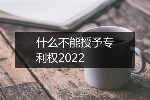 什么不能授予专利权2022