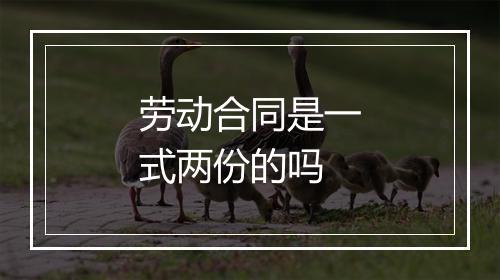 劳动合同是一式两份的吗