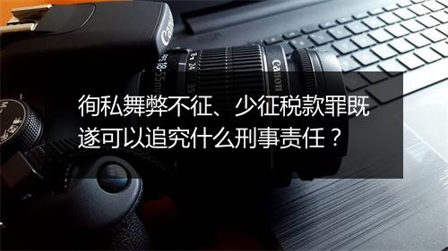 徇私舞弊不征、少征税款罪既遂可以追究什么刑事责任？