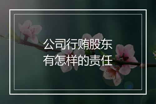 公司行贿股东有怎样的责任
