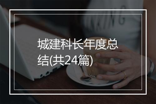 城建科长年度总结(共24篇)