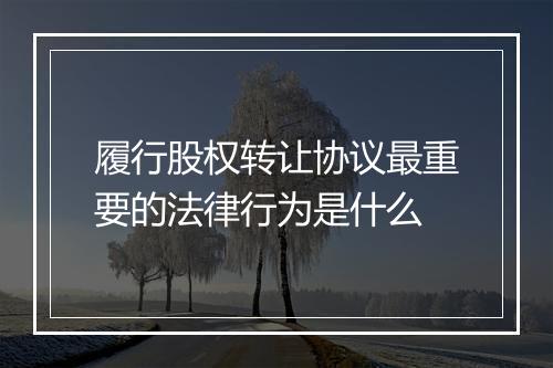 履行股权转让协议最重要的法律行为是什么