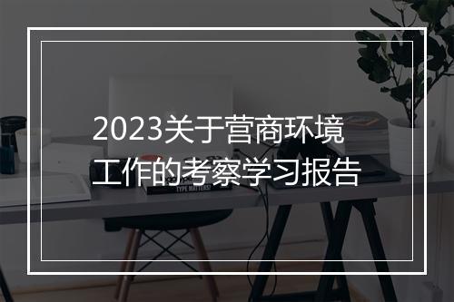 2023关于营商环境工作的考察学习报告