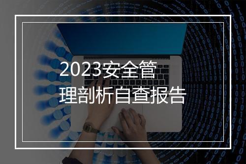 2023安全管理剖析自查报告